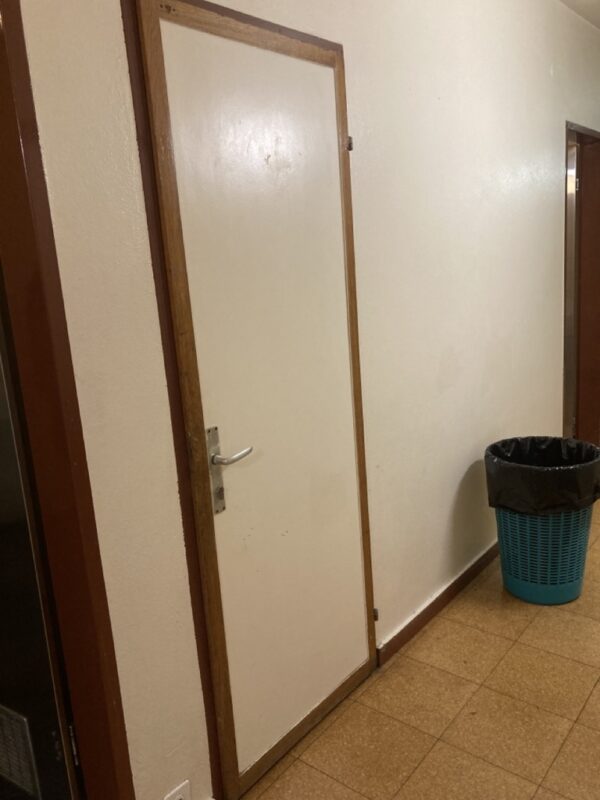 Panneau de porte blanc