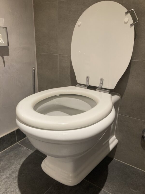 Cuvette WC et accessoires retro – Image 2