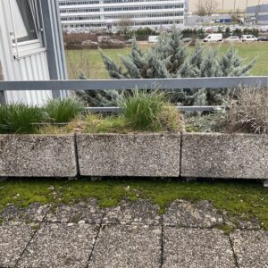 Bacs a plante