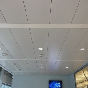Plaques de faux plafonds Type 2