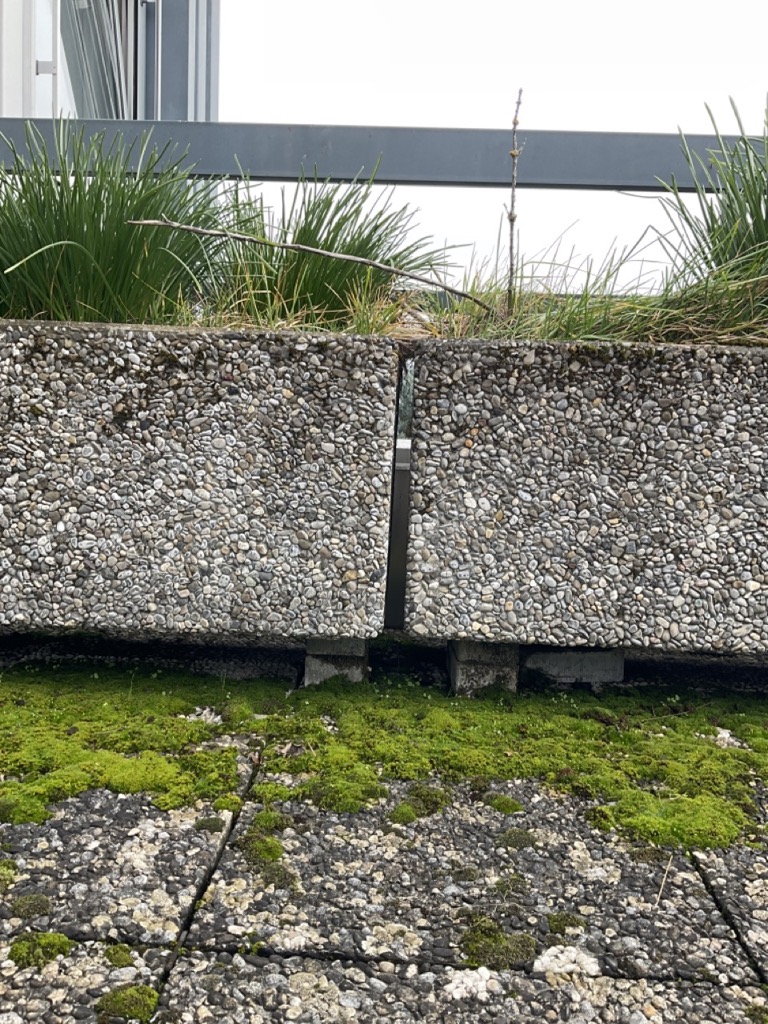 Bacs a plante – Image 2