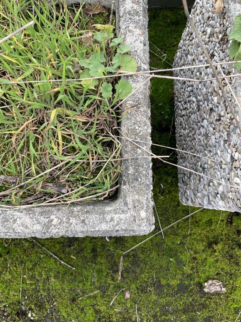 Bacs a plante – Image 3