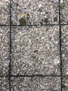 Dalle ciment extérieur (4,5 chf/pcs) – Image 3