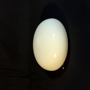 Applique en verre Regent