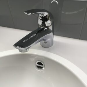 Mitigeur combiné inox