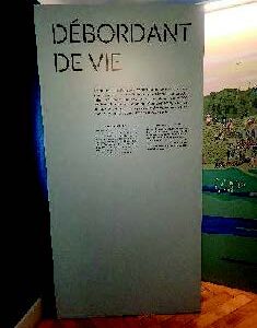 Module autoportant en MDF 16mm