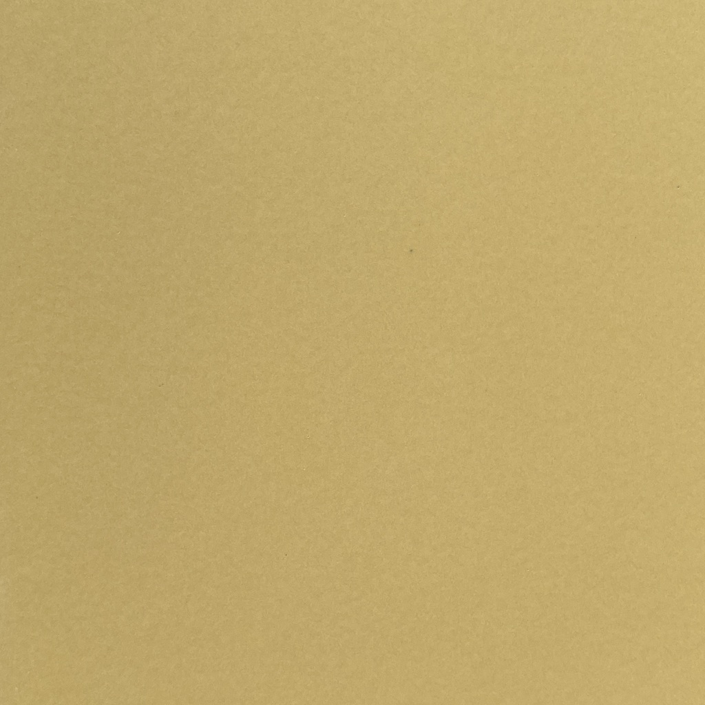 Carrelage grés cérame émaillé, 40 x 20 cm.
