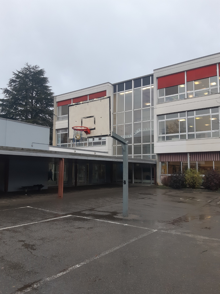 Panier de basket – Image 2